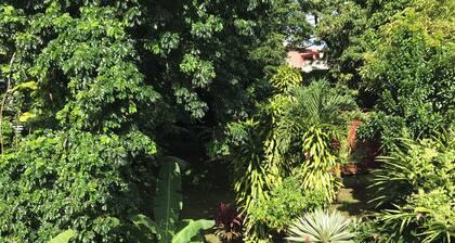 Villa à la Martinique - Balata district - Near the Balata gardens
