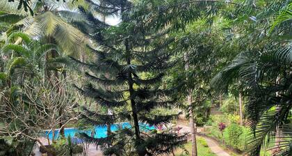 Tranquil Stay, Garden Estate - Palolem Beach, 1BHK Flat