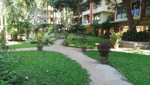 Um pátio com um caminho pavimentado, rodeado por vegetação exuberante e diversas plantas.