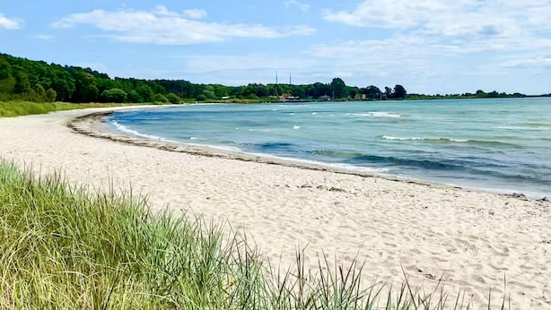 Ein Strand mit klarem Wasser, einem Sandstrand und einem bewaldeten Hintergrund.