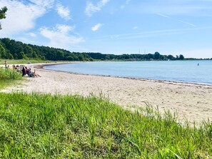 A beach with a grassy foreground, a sandy shore, and a calm body of water.
