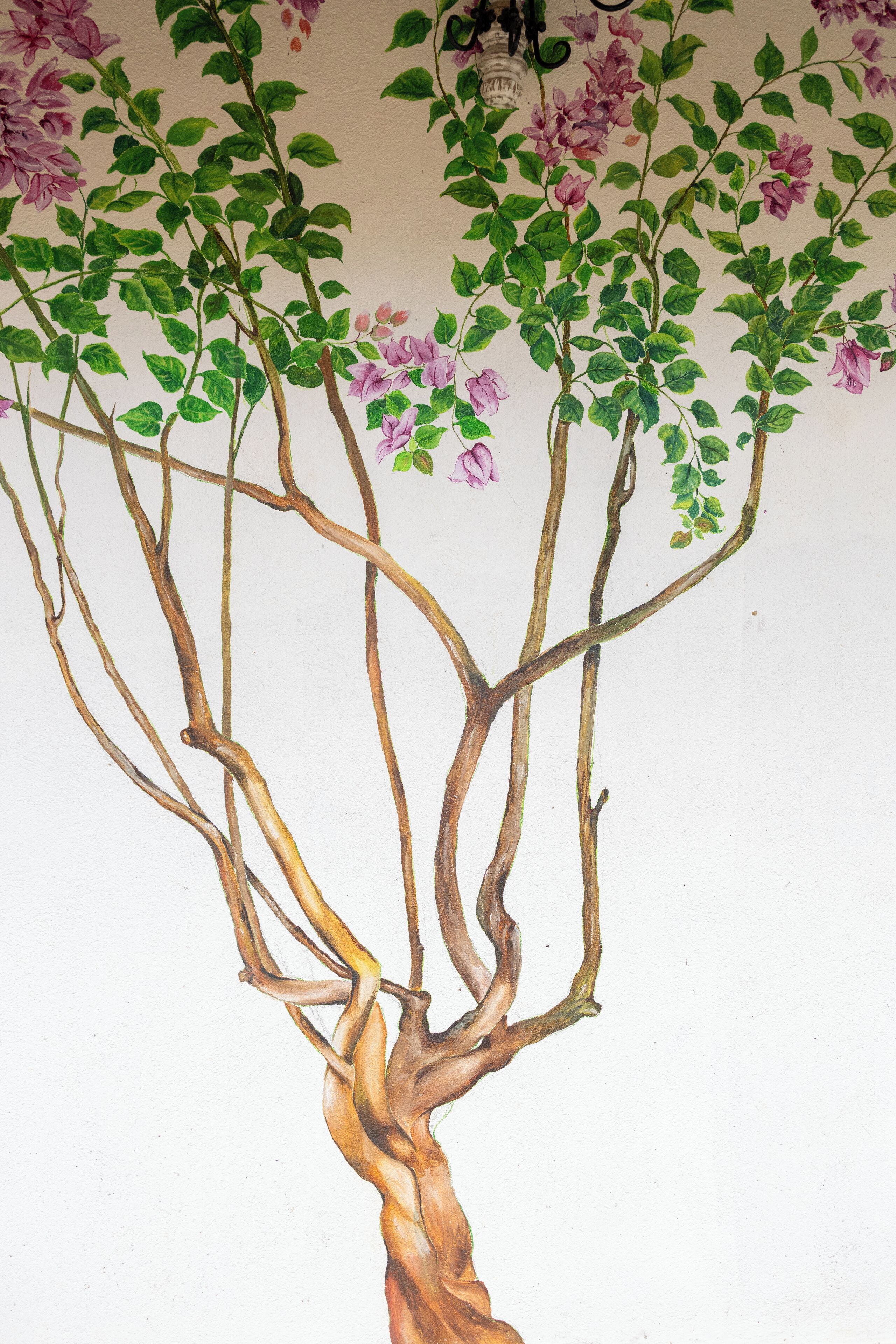 Un árbol con ramas y flores rosadas frente a una pared lisa.