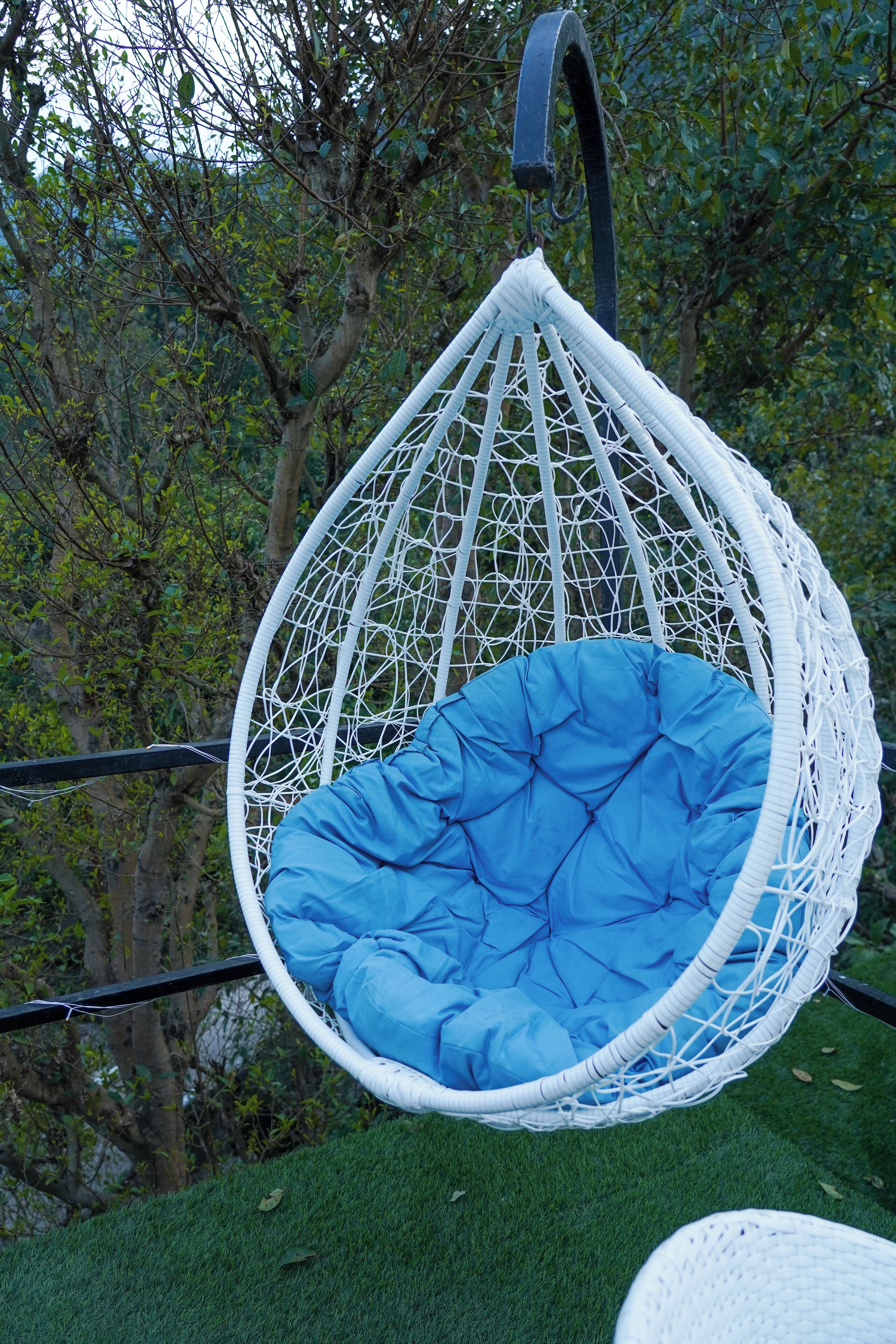 A white hanging chair with a blue cushion, suspended by a black metal frame, set against a backdrop of green foliage.