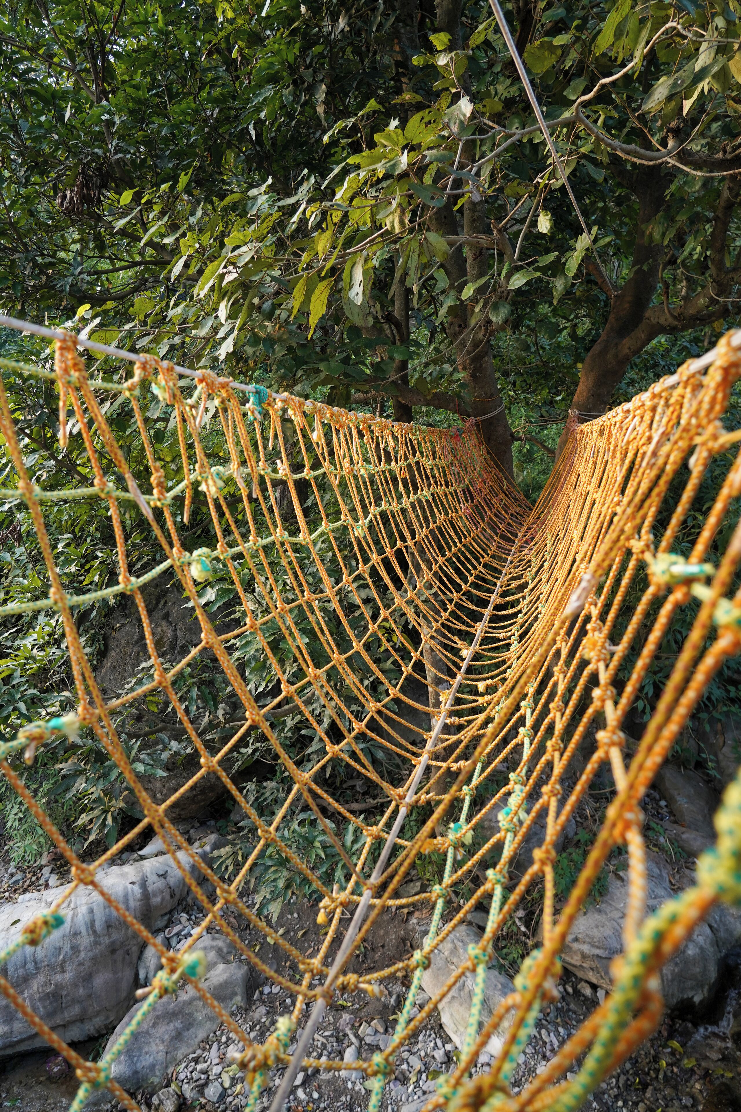 A rope bridge in a forested area.