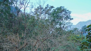 A natural landscape with a stream flowing through a rocky bed, surrounded by dense vegetation and trees. - Kylo Resort (Atali)