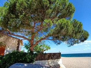 Enjoy stunning ocean views from this beachfront property, surrounded by a lush pine tree and a serene sandy beach.