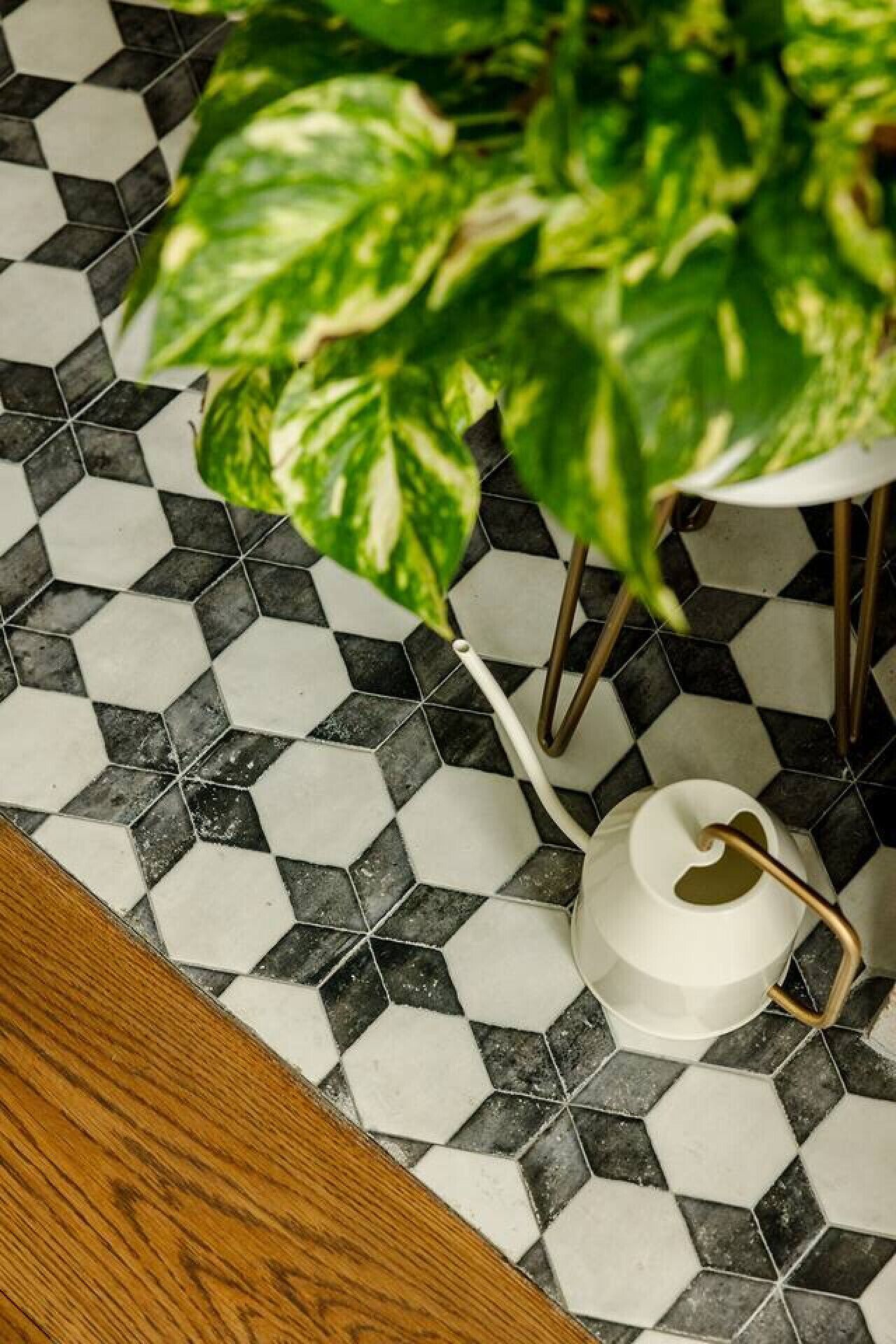 A bathroom with a black and white hexagonal tile floor, a white kettle, and a green potted plant.