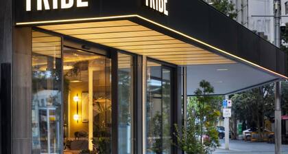 Tribe Auckland