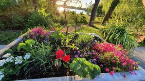 Un parterre fleuri avec différentes espèces de plantes et un banc en bois.