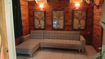 Ărea de sala de estar