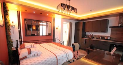 Luxury Suite: Land 800m²/Terrace/Barbecue/Private parking VIDEO SURVEILLANCE