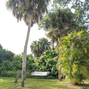 Property grounds - Peaceful Palm a Charming 3-bedroom house near Babcock Ranch, in Fort Myers (Fort Myers)
