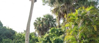 Peaceful Palm a Charming 3-bedroom house near Babcock Ranch, in Fort Myers