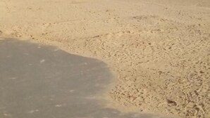 A wide sandy beach with a clear sky. - Chapel St Leonards Happydays Beachfield (Skegness)