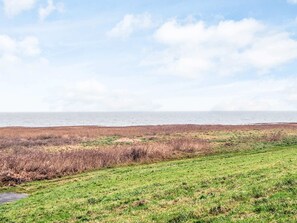 House | Miscellaneous