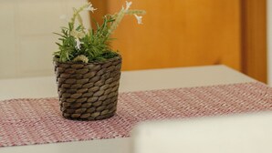 Una pequeña planta en maceta sobre una mesa blanca con mantel estampado, ubicada frente a una puerta de madera con un espejo triangular.