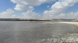 Safari - Oasis Panorama Hotel  (Al Bawiti)