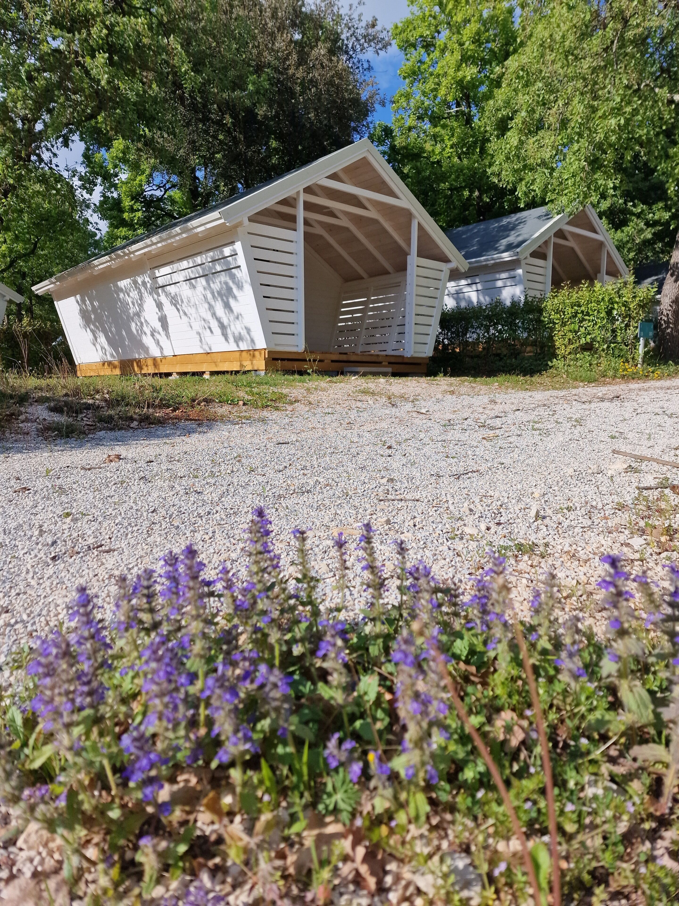 Tent, 2 Single Beds, Kitchenette, Courtyard View