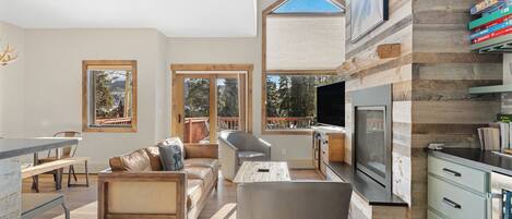 TV, fireplace, books