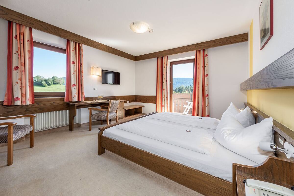 A hotel room with a large bed, a desk with a chair, a television, and a view of the outdoors.
