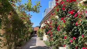 A cobblestone pathway flanked by lush greenery and blooming red roses, leading to a building with a tiled roof. - 5 Person Holiday Home in Stenkyrka (Tingstade)