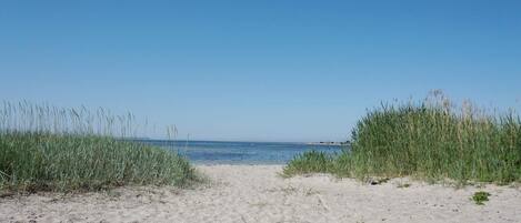 House | Beach
