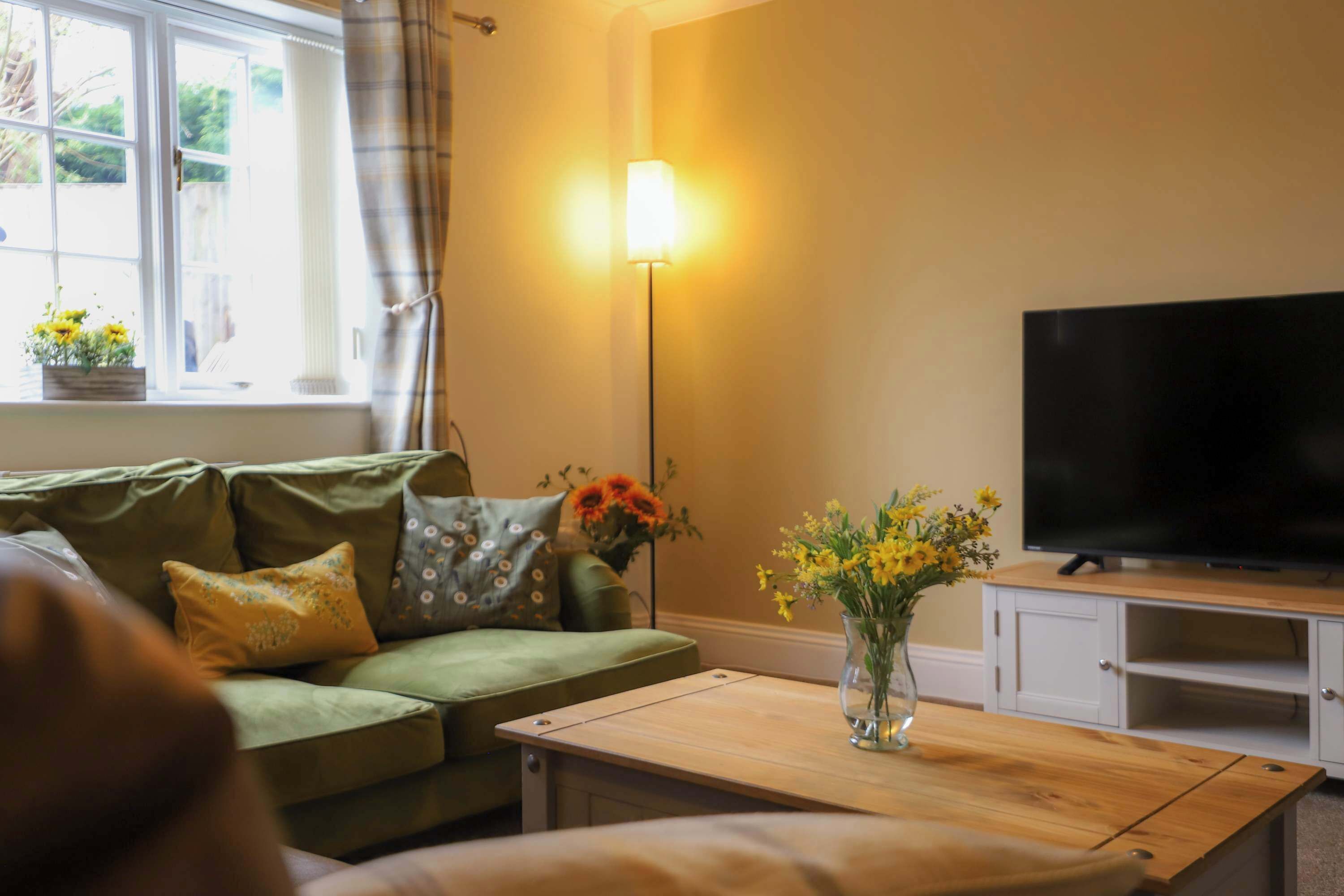 TV, fireplace, offices