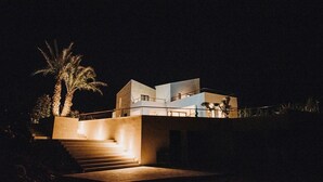 Une maison moderne à plusieurs étages, dotée d’un escalier menant à l’entrée et entourée de palmiers.