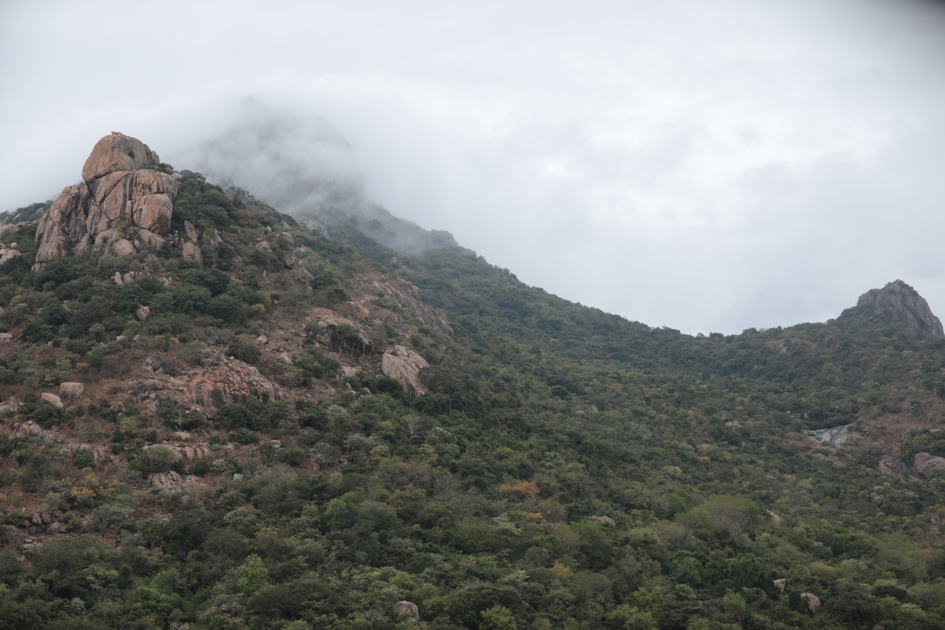 Un paisaje montañoso con vegetación densa y afloramientos rocosos.