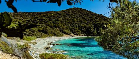 Plage à proximité, chaises longues