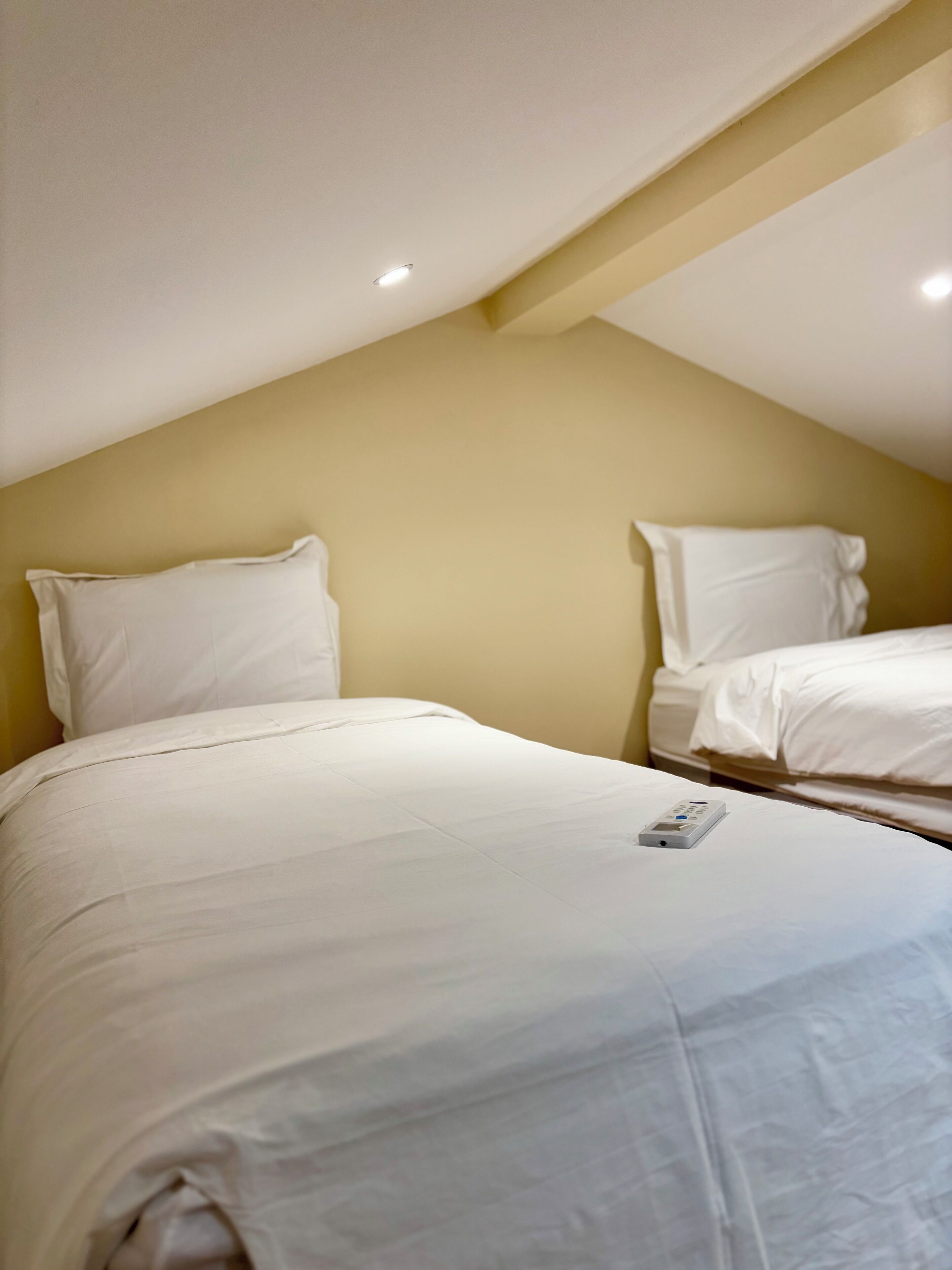 A twin room with two beds, a ceiling light, and a remote control on the bed.