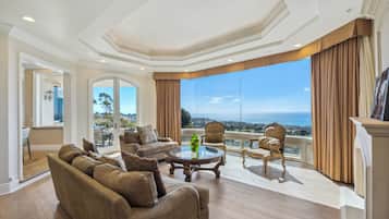 Smart TV, fireplace, video library