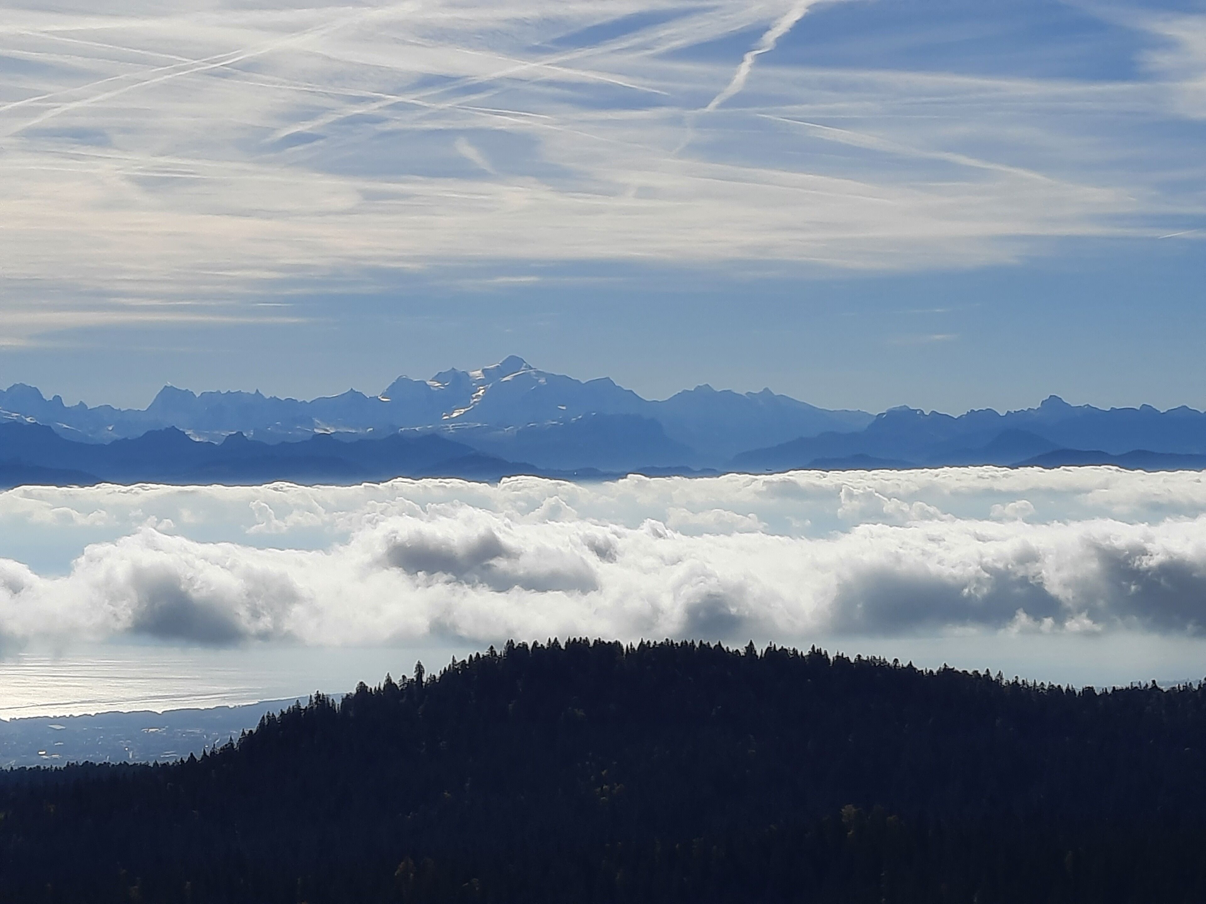 Eine gebirgige Landschaft mit einem bewaldeten Vordergrund und Blick auf ferne Berggipfel.