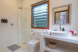 Shower, eco-friendly toiletries, hair dryer, towels
