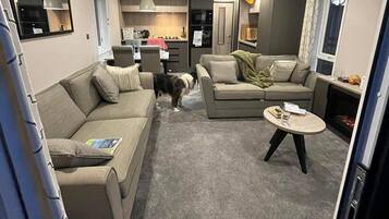 Cabin | Living area | Fireplace