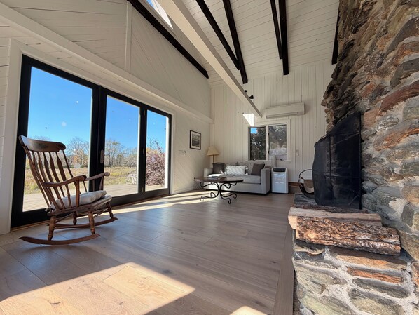 Smart TV, fireplace, books, video library