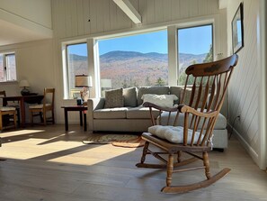 Smart TV, fireplace, books, video library