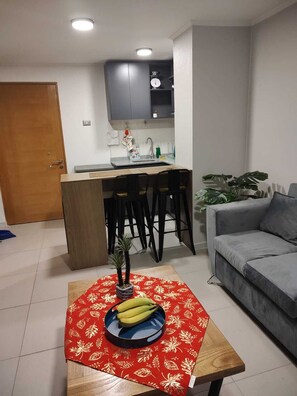 Living area - Comfortable apartment in Santiago, with all the necessary services.  (Santiago)