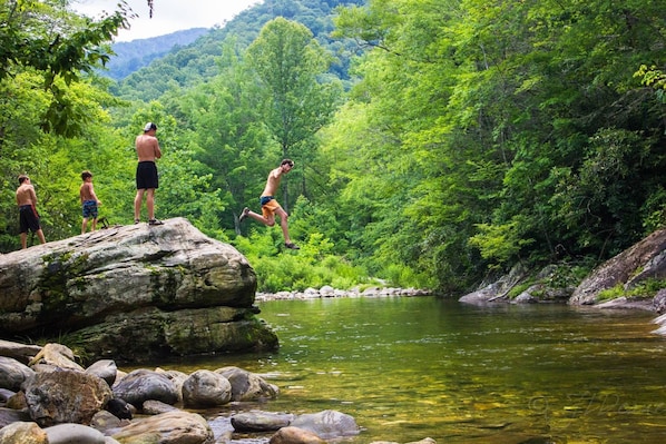 A natural landscape with a river, rocks, and dense greenery.