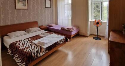 Alojamento Local Private Accommodation