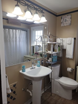 Hair dryer, towels, soap, toilet paper - Spacious 4-bedroom house in Garfield Hts w/ workout room, wifi, patio, (Garfield Heights)