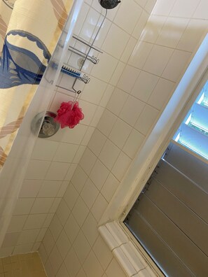 Serviettes fournies, savon, papier toilette