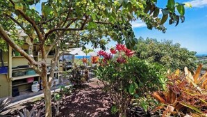 A garden area with various plants and a pathway. - Hale Haku Home- Unbelievable Ocean Views! (Kailua-Kona)