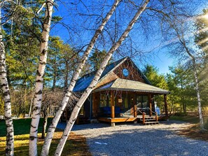 A wooden cabin with a porch, surrounded by birch trees, set in a forest.
