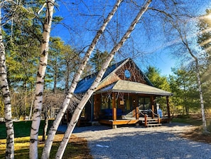 A wooden cabin with a porch, surrounded by birch trees.
