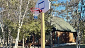 Un panier de basket dans une zone boisée, avec un bâtiment en bois en arrière-plan.