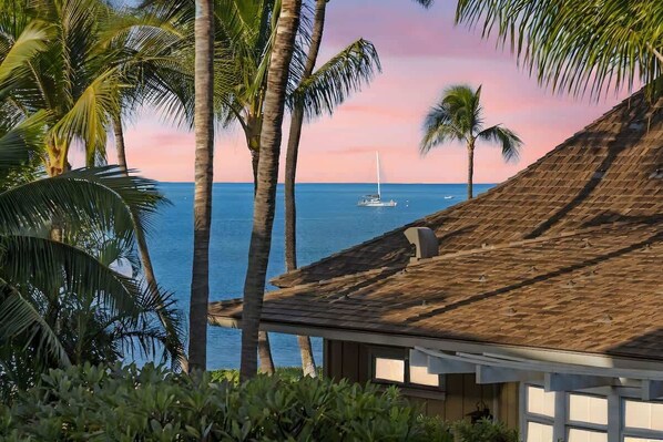 A coastal view with a house, palm trees, and a sailboat on the water.
