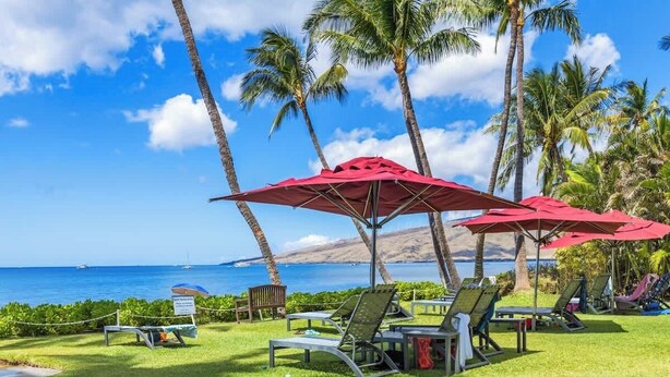 A beachside lounge area with sun loungers and umbrellas, palm trees, and a view of the ocean. - Oceanview updated 1 bedroom condo, AC, 6 mile sandy beach (Kihei)