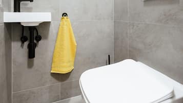 Luxury Apartment | Bathroom | Slippers