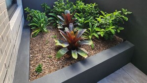 A modern outdoor garden with a variety of plants, a dark-colored planter, and a metal fence.
